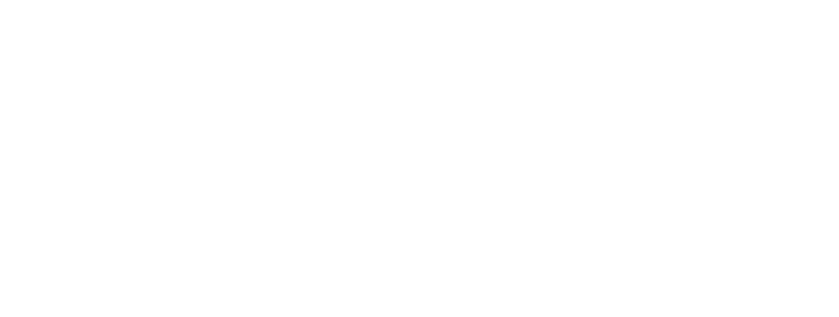 The Urban Wanderer